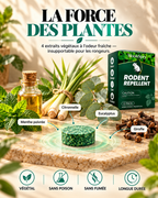 Pastilles Répulsives Anti-Souris & Rats — Sans Poison